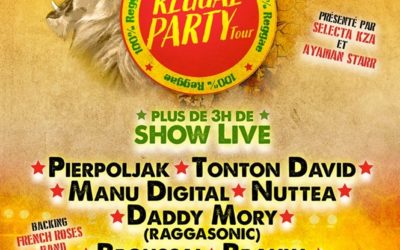 Reggae Party Tour Reporté en novembre 2020